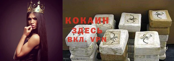 PSILOCYBIN Каменск-Шахтинский