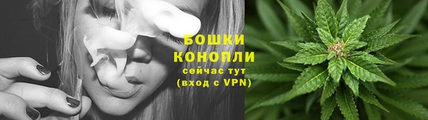 PSILOCYBIN Каменск-Шахтинский