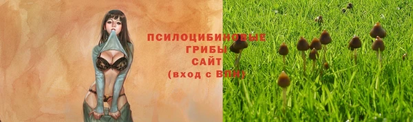 PSILOCYBIN Каменск-Шахтинский