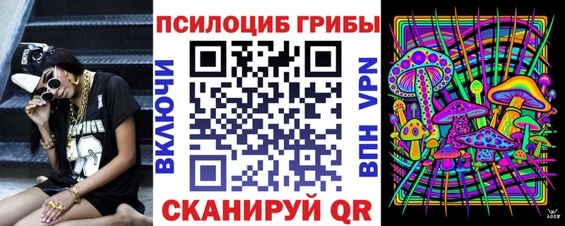 Купить где  Валдай  Галлюциногенные грибы мицелий 