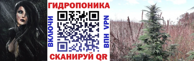 Шишки марихуана White Widow Купить где Валдай
